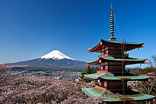 日本,樱花,塔,神祠,富士山