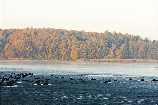 秋天,水塘,捷克共和国