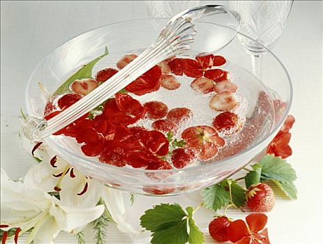 草莓潘趣酒,天竺葵,花