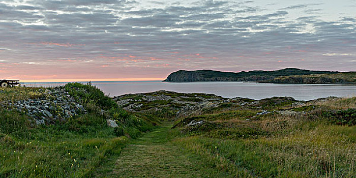 海岸,日落,特威林盖特,南,特威林盖特岛,纽芬兰,拉布拉多犬,加拿大