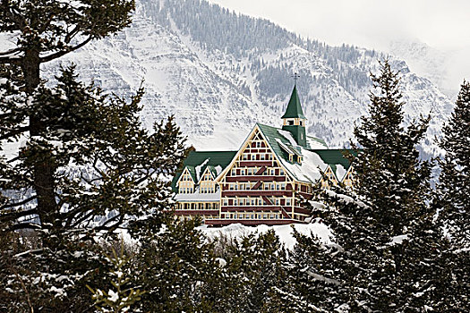 威尔士王子酒店,框架,常青树,积雪,山峦,沃特顿,艾伯塔省,加拿大