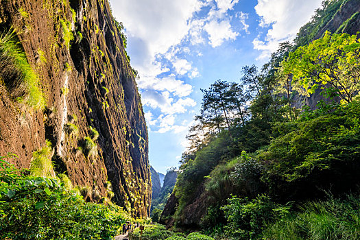 中国福建武夷山大红袍景区