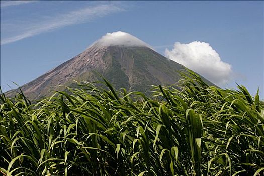 活火山,尼加拉瓜,中美洲