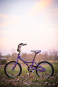 紫色,自行车,草地,童年,运输