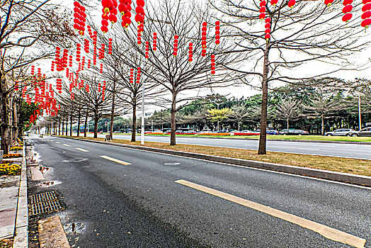 道路旁挂在树上的灯笼