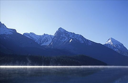 湖,早晨,薄雾,公园,加拿大,艾伯塔省
