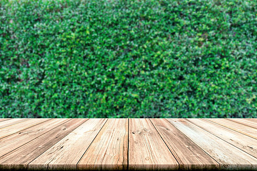 空,木桌子,上面,绿叶,墙壁,背景