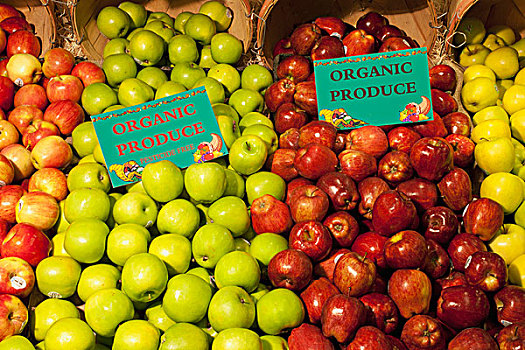红色,绿色,黄色,苹果,展示,标识,标示,有机,农产品,滑铁卢,魁北克,加拿大