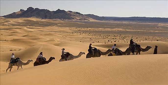 人,骑,骆驼,沙漠,却比沙丘,沙丘,撒哈拉沙漠,摩洛哥