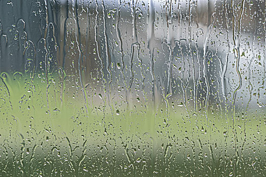 窗户,花园,雨滴,雨天