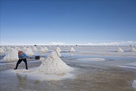盐,工作,积聚,盐湖,乌尤尼,高原,玻利维亚,南美