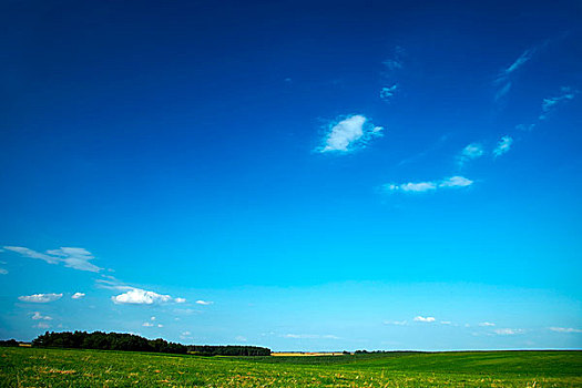 绿色,草地,印象深刻,蓝天,白云