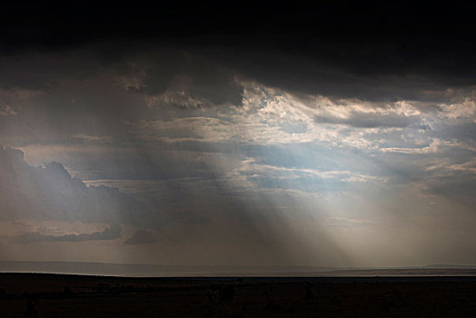 非洲草原,乌云蔽日