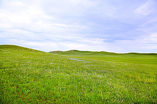 蓝天白云下的草原