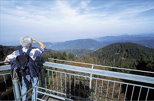 山,登山者,黑森林,巴登符腾堡