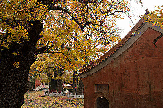 文殊寺