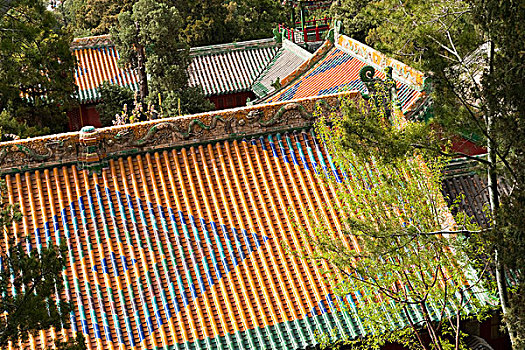 屋頂,北海公園,地區,北京,中國