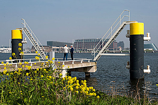 码头,港口,城区,阿姆斯特丹,荷兰