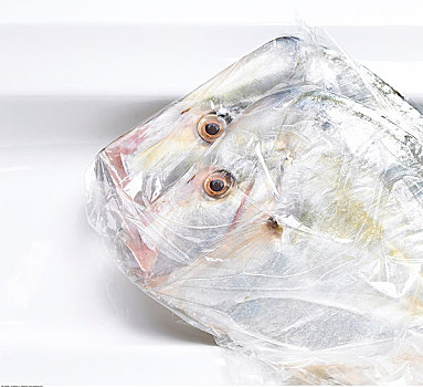 鱼肉,塑料袋