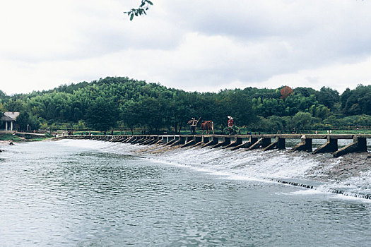 丽水仙都