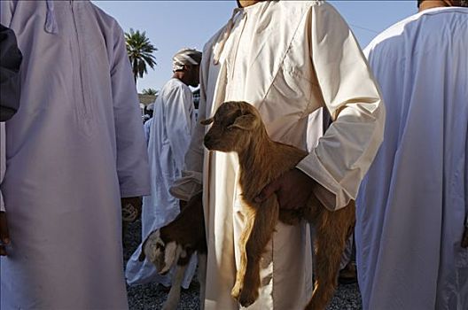 山羊,阿曼,男人,传统服饰,牲畜,动物,市场,尼日瓦,哈迦,加尔比,山峦,区域,阿曼苏丹国,阿拉伯,中东