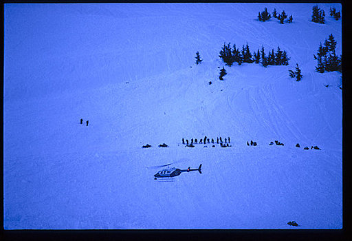 直升飞机,寻找,雪崩,区域,阿拉斯加,冬天,景色
