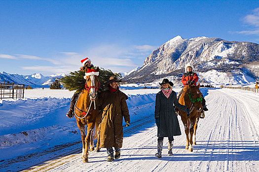 家庭,圣诞树,家,骑马,冬天