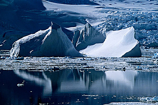 南极,冰山,正面,半岛,海岸