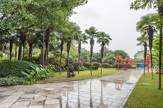 桂林秋季雨中公园草地道路树林