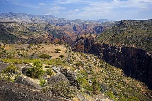 峡谷,高原,索科特拉岛,也门