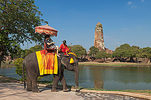 游客,骑,大象,正面,寺院,庙宇,大城府,历史,公园,泰国,亚洲