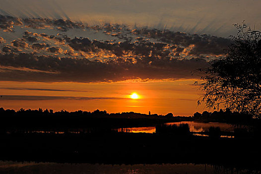 日出,多瑙河三角洲,罗马尼亚,欧洲