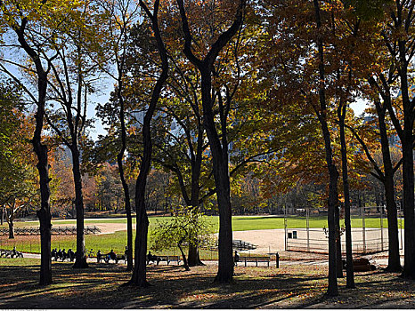 棒球场,中央公园,纽约,美国