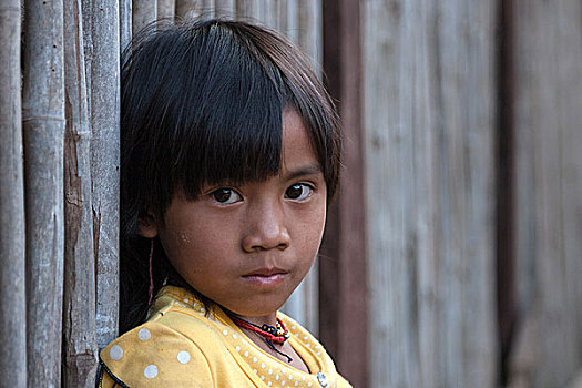 女孩,部落,头像,靠近,钳,掸邦,金三角,缅甸,亚洲