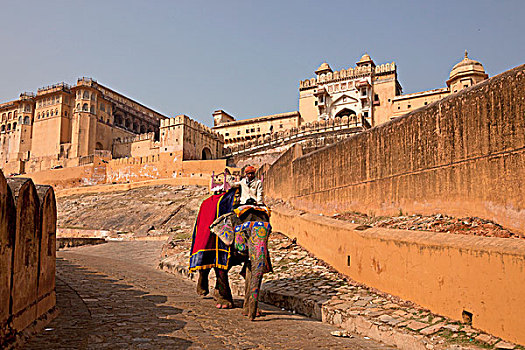 大象,骑,旅游,正面,琥珀堡,斋浦尔,拉贾斯坦邦,印度,亚洲