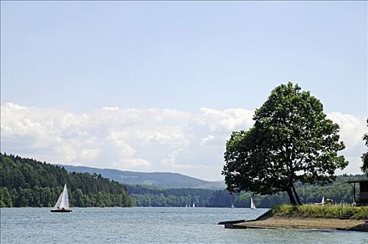 湖,水库,自然保护区,藻厄兰,北莱茵威斯特伐利亚,德国,欧洲