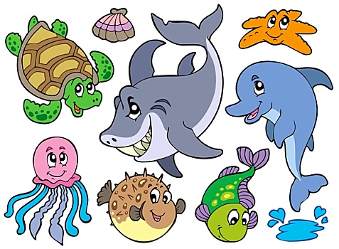 高兴,海洋动物,收集