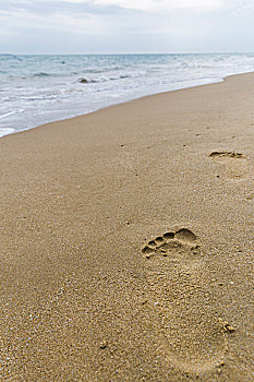 沙滩脚印贝壳
