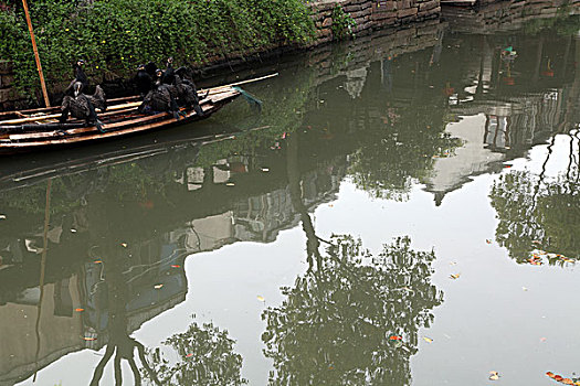 甪直,古镇,建筑,江南,水乡,小桥,桥梁,河流,河道,渔舟,渔船,小巷,风情,风光,旅游,景点,古色古香,民居41