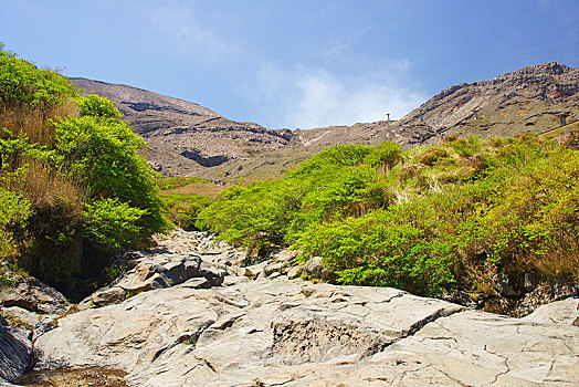 峡谷,春天,熊本,日本