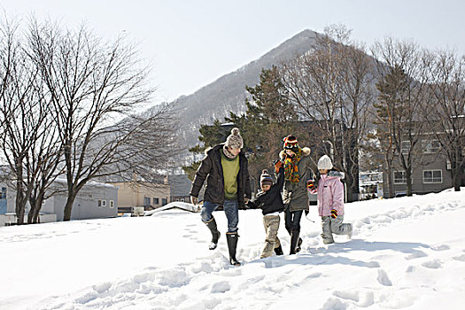 家庭,走,雪原