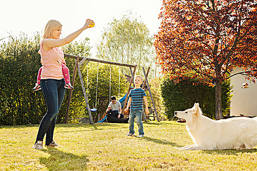家庭,花园,训练,狗