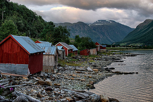 捕鱼,小屋,岸边,靠近,城镇,挪威北部,夏天