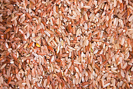 红米,薄荷岛,菲律宾