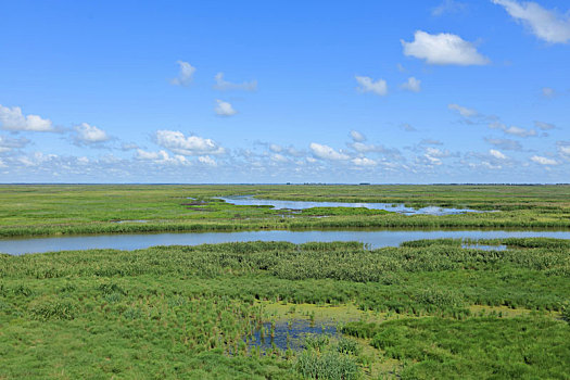 雁窝岛,湿地