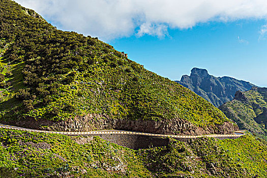 隘口,道路,山,特内里费岛,加纳利群岛,西班牙