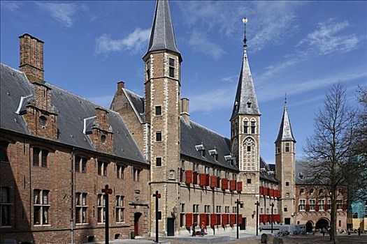 教堂,博物馆,地区性,米德尔堡,荷兰