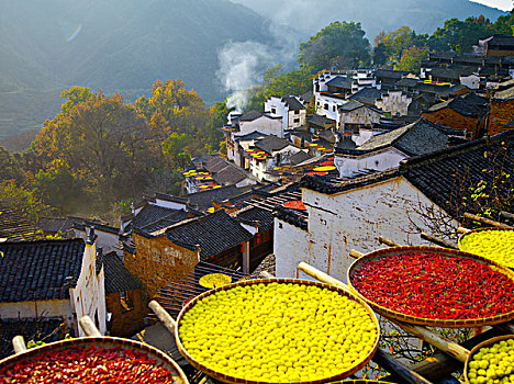 风景