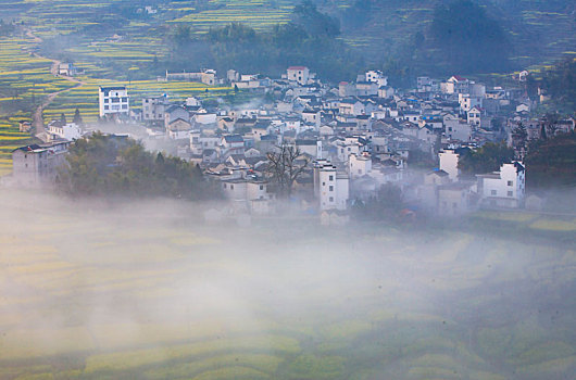 云海,梯田,氤氲,朦胧,诗画,梦乡,早晨,早上,雾气,安徽,家朋,春天,春色,徽居,阳光,春意,油菜花,田园,乡村,山川,山,清明