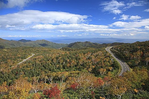 秋叶,岛屿,知床半岛国家公园